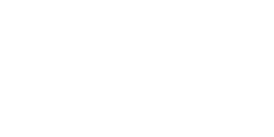 Тонировка авто Skoda