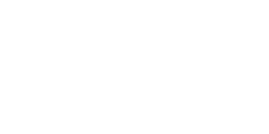 Установка Зоряне небо на Lexus