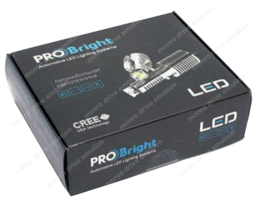 LED лампа PROBRIGHT TDRL 4,5 Basе PY21W (WY21W) (2 шт)